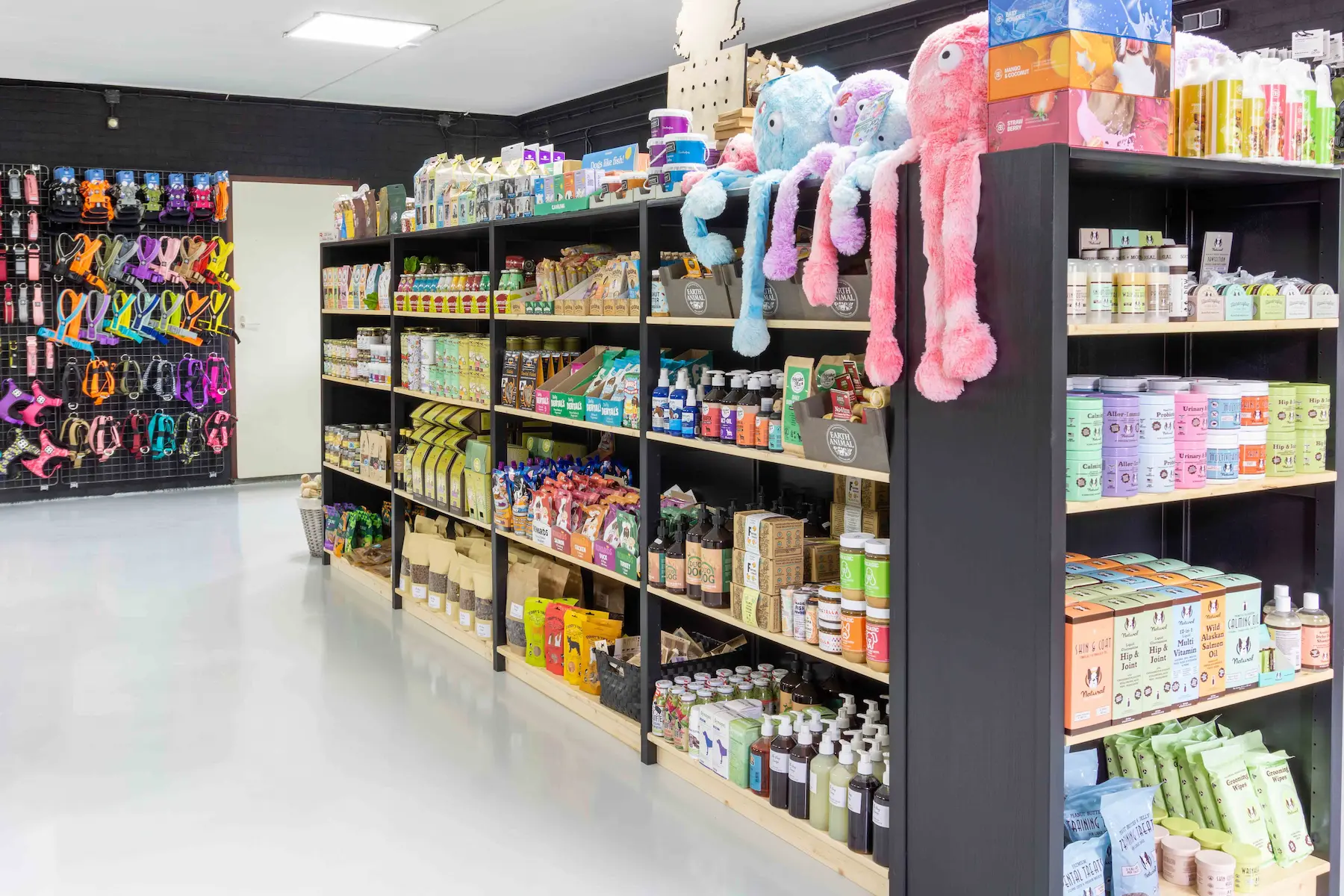 In gesprek met Kim Zwarenstein van The Dog Lounge Lundia Original